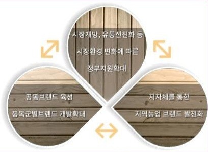 농산물 브랜드 사업의 세 축 — 정부지원 확대, 공동브랜드 육성, 지자체를 통한 지역농업 브랜드 발전화
