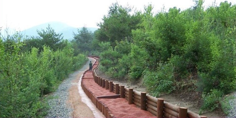 산책로를 따라 곡선으로 조성된 경남수목원 황토볼 지압로 전경