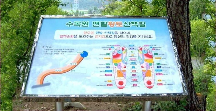 경남수목원 황토볼 지압로