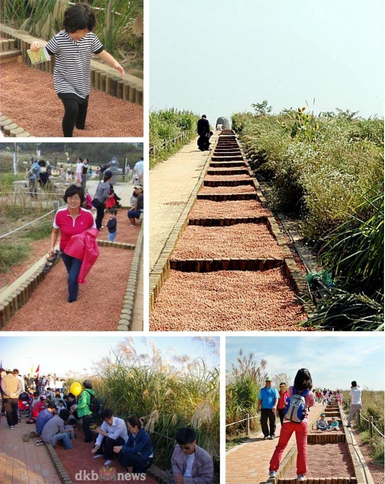 서울 월드컵공원 (하늘공원) 황토볼 지압로