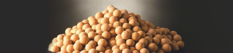 황토음이온볼