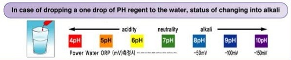 pH 시약 반응에 따른 산성–중성–알칼리 구간과 ORP 측정값