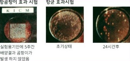 항곰팡이 효과 시험 및 항균 효과 시험 배양 사진