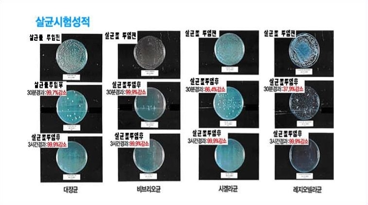 살균시험성적 — 대장균·비브리오균·시겔라균·레지오넬라균 투입 전후 배양 사진