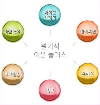 원기석 이온플러스